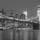 Product Manager